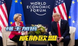 特朗普爆料欧盟视频大全,欧盟内部视频大全曝光惊人内幕