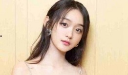 何泓姗主演的电视剧