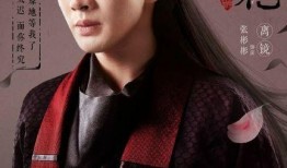 张杉杉演的电视剧,情感纠葛与成长蜕变