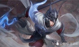 赵云古风皮肤爆料视频,剑舞风云，翩翩侠影