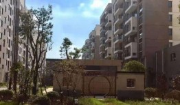 襄阳鞋厂最新爆料电话,电话曝光，揭秘企业内幕