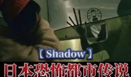 庐江爆料某野货哥视频,探寻民间珍稀野味背后的故事