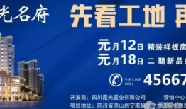 宁南最新事件爆料新闻,揭秘背后真相，引发社会广泛关注