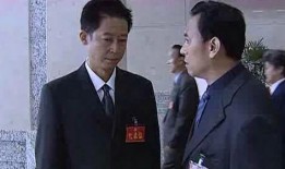 国家干部电视剧,权谋与担当的岁月传奇