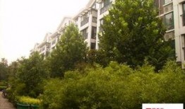 齐鲁花园最新爆料,揭秘神秘豪宅背后的故事