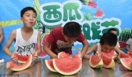 一只吃瓜的幼崽免费阅读,一只吃瓜幼崽的免费阅读之旅