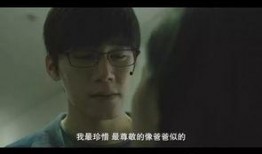 银娇电影在线观看,穿越时光的浪漫邂逅