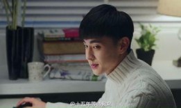 湖南卫视16年电视剧,经典剧集回顾与亮点纷呈