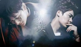 默读电视剧,揭开心灵深处的悬疑面纱