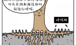 简单漫画小故事,意外收获的友谊