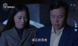 电视剧忠诚全集,揭秘特工风云，信仰与牺牲的忠诚赞歌