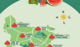 《耀眼吃瓜》免费阅读,揭秘娱乐圈背后的精彩故事