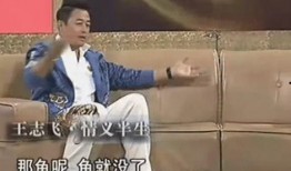 好爸爸坏爸爸电视剧,育儿路上的爱与挑战