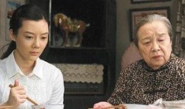 电视剧满仓进城演员表,实力派明星齐聚一堂，演绎农村奋斗传奇