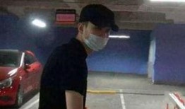 阿欢网红爆料事件视频,揭秘背后真相与网络舆论风暴