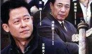 国家干部电视剧,权谋与担当的岁月传奇