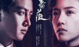 红蔷薇电视剧演员表,实力派明星齐聚演绎谍战传奇