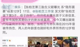 食品大亨爆料视频大全集,视频大全集深度解析