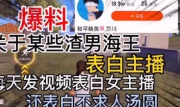 遵义渣男爆料视频播放,揭秘渣男真面目，引发网友热议