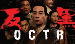 反黑电视剧,揭秘反黑剧中的正义之战