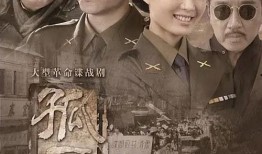 电视剧《孤雁》,逆境中的坚韧与成长