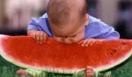 西瓜视频吃瓜免费观看,吃瓜免费，畅享娱乐盛宴