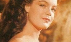 茜茜公主电视剧,宫廷风云下的爱情传奇