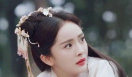 杨幂演过的电视剧,穿越时空的美丽传奇