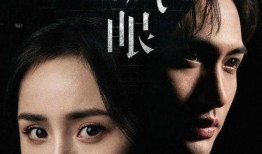 关于灵魂的电视剧,探寻灵魂深处的光影之旅