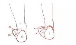 漫画脚,生活百态的趣味缩影