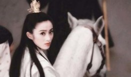 褒姒大姐爆料视频播放全集,宫廷秘闻大曝光