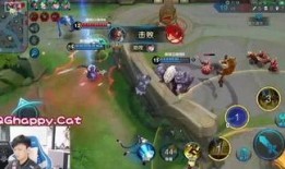 王者小宝爆料视频大全,揭秘游戏幕后精彩瞬间