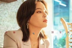 辛芷蕾演的电视剧,情感纠葛与命运抉择