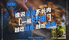 食品大亨爆料视频大全集,视频大全集深度解析