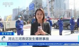 权威记者爆料视频大全集,揭秘真相与内幕