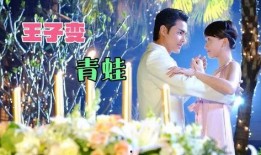 台湾电视剧主题曲大全