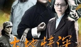 大地情深电视剧演员表,实力派明星齐聚演绎感人故事