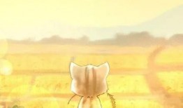 凉梦微博爆料最新消息,最新热点事件幕后真相揭晓