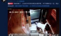 谁爆料家暴视频大全,家暴视频大全曝光