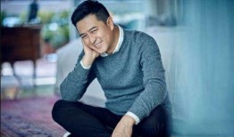 张嘉译电视剧,演绎人生百态，诠释情感深度