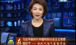 热点爆料东莞新闻联播回放,热点爆料回顾，聚焦城市动态