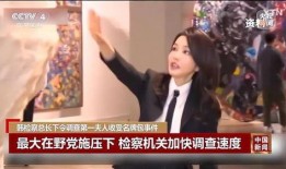 韩清真实爆料视频大全,揭秘娱乐圈不为人知的秘密