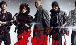 老炮儿电视剧,岁月沉淀的江湖传奇