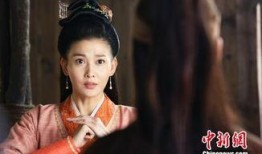 天下正道电视剧,权谋风云，正义之路