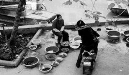 嘉善新闻爆料热线电话,见证城市脉搏，倾听民声心声