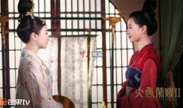 大唐荣耀 2电视剧,权谋风云，爱恨交织的宫廷传奇