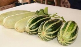 威海吃瓜网红有哪些人,揭秘威海知名吃瓜达人的多彩人生