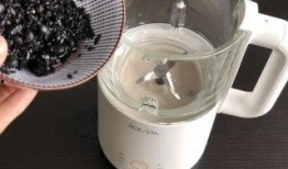 黑芝麻豆浆搭配,营养早餐新选择，养生美味两不误