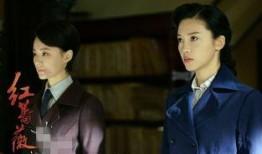 红蔷薇电视剧免费观看,免费解锁，重温革命岁月的激情燃烧