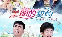 美丽的契约电视剧,爱恨交织的豪门纠葛